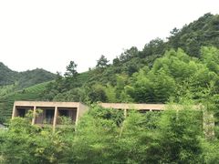 -看见远方·莫干遥远的山民宿