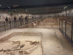 -洛阳周王城天子驾六博物馆