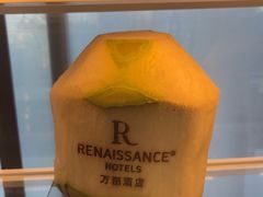 -逸廊大堂吧(三亚海棠湾万丽度假酒店)