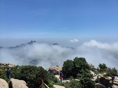 -崂山巨峰游览区