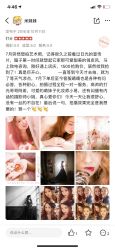 -日光视觉婚纱摄影(旗舰店)