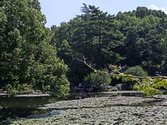 -杭州植物园