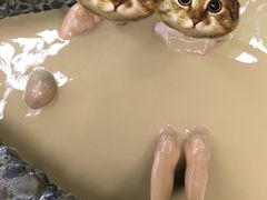 -100蛋泥浆浴