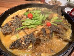 -老板恋上鱼(印象城店)