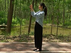 -合肥滨湖国家森林公园