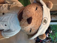 iphone_upload_pic-济州岛泰迪熊博物馆