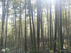 -安吉龙王山风景区