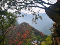 -秦岭终南山世界地质公园翠华山景区