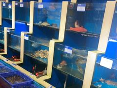 -鹰龙海畔度假酒店(咸祥店)