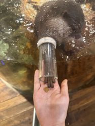 -Zoolung Zoolung动物主题公园(海信广场店)