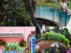 -正佳雨林生态植物园