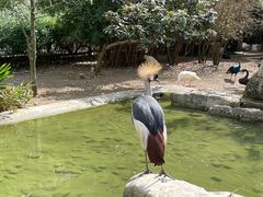 -黔灵山公园