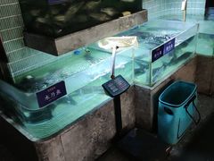 -鱼你相聚·河鲜馆(袁家岭店)