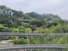 -福道