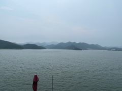 -望湖烤鱼