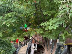 -耕渔小院·湖南鱼鲜(望城店)