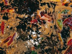 麻辣红油锅底-王少龙火锅(五小区店)