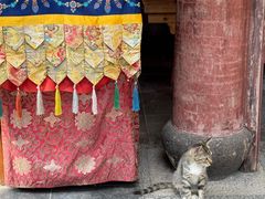 -龙华素斋(龙华路店)