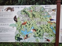 -阳台山森林公园