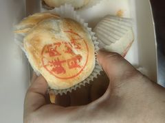 鲜肉月饼-沈大成(南京东路店)