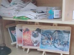 -谐和贝康宠物医院24小时·宠保定点(急重症转诊中心)