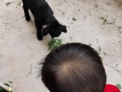 -麻涌飞鸭开心农场
