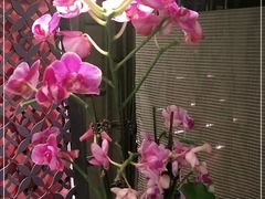 -LANN I 蘭 泰式古法按摩(徐家汇城开YOYO店)