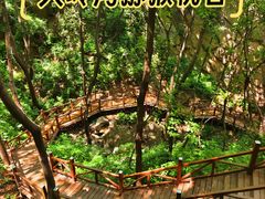 -大岭沟猕猴桃谷风景区