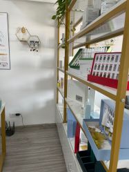-凡碧诗毛孔收细