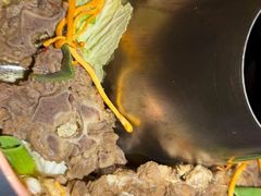 -京悦南门涮羊肉·羊蝎子火锅(田林路店)