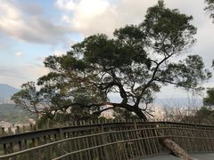 -福道
