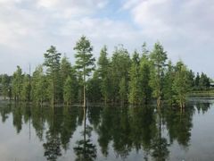 -白鹭湾湿地公园