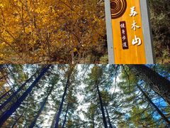 -苏木山森林公园