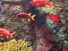 -太平洋海底世界