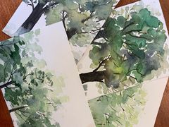 -六出私塾LiuChu•成人美术书法系统课程专业画室(熊婆婆的花园店)