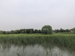 -苏州太湖湖滨国家湿地公园