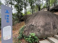-火炉山森林公园