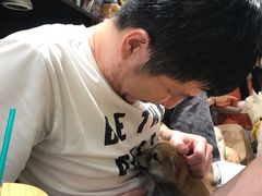 -逗柴咖啡屋·狗咖猫咖宠物桌游