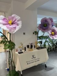 -原力医疗美容