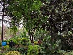 -成都宽窄巷子漫心酒店