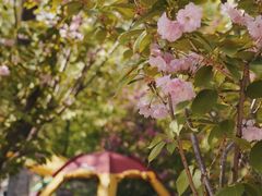 -长白岛森林公园