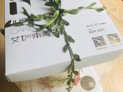 森系石榴动物奶油蛋糕-艾加柒克蛋糕茶歇甜品台(春熙路店)