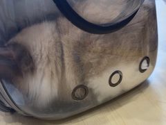 -瑞鹏宠物医院·骨科·猫科·内科(第一中心)