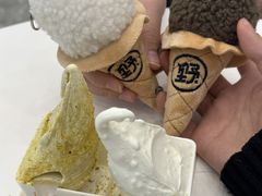 -野人先生现做冰淇淋(北京环宇荟店)