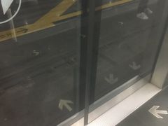 -大望路(地铁站)