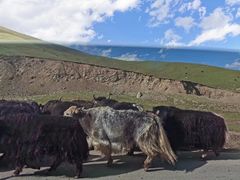 -青海湖国家重点风景名胜区