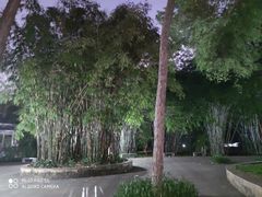 -晓港公园