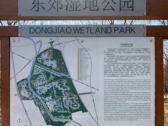 -东郊湿地公园