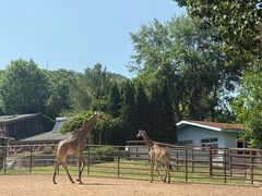 -大连森林动物园