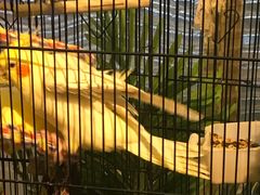 -火舞泰·泰式海鲜火锅餐厅(世纪城店)